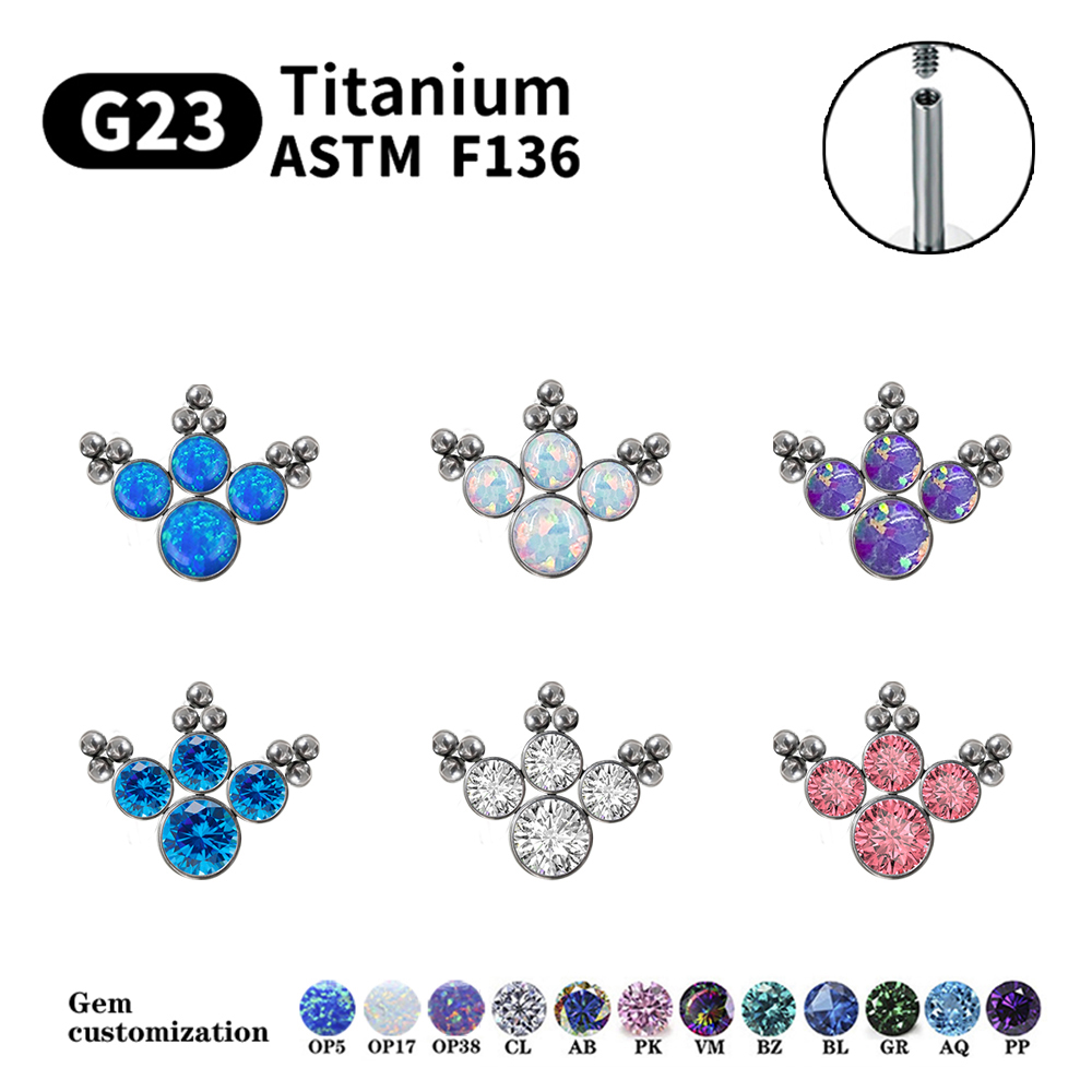 G23 Titan Xuyên Bông Tai Nữ Op - đánh giá và giá Opal Earrings Dangle
